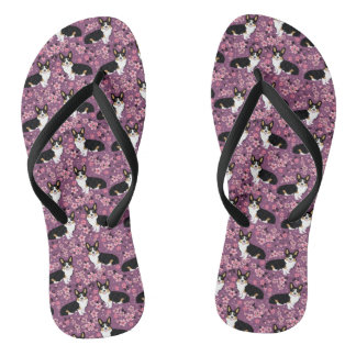 Tri Colored Corgi Cherry Blossom - paars Teenslippers