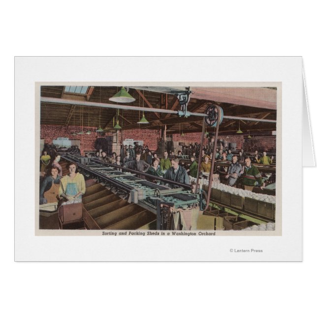 Tri et emballage usine et ouvriers (intérieur) (Devant horizontal)