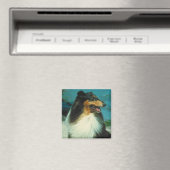 Tri-gekleurde gekleurde ruw jas magneet (Insitu (Vaatwasser))