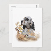 Tri Kleur Engels Setter Art, houtsnip jacht Briefkaart (Voorkant / Achterkant)