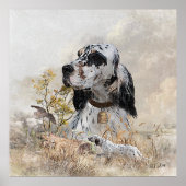 Tri Kleur Engels Setter Art, houtsnip jacht Poster (Voorkant)