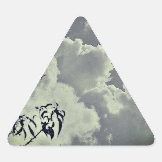 Triangulaire Sticker (Devant)