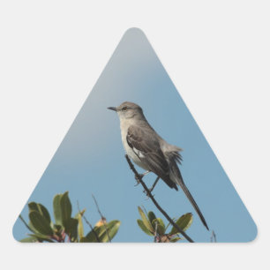 Triangulaire Sticker Mockingbird