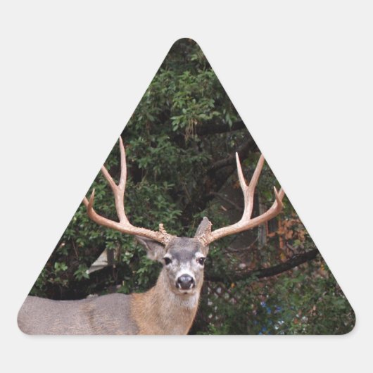 Triangulaire Sticker pour triangle de cerfs (Devant)