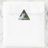 Triangulaire Sticker Triangle Chat Savannah Blanc (Sac)