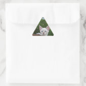 Triangulaire Sticker Triangle Chat Savannah Blanc (Sac)