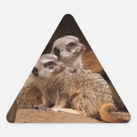 Triangulaire Sticker triangle Meerkat (Devant)