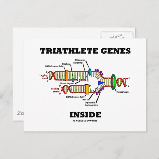 Triatleetgenen in (DNA-replicatie) Briefkaart (Voorkant / Achterkant)