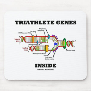Triatleetgenen in (DNA-replicatie) Muismat