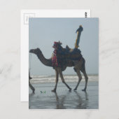 Tribal Camel Ride: Morning Tide Sands & Zee Briefkaart (Voorkant / Achterkant)