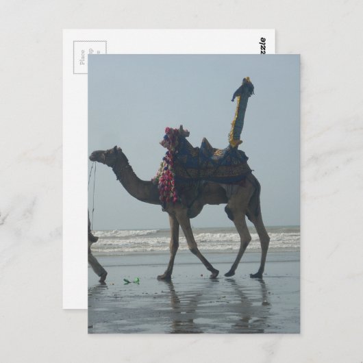 Tribal Camel Ride: Morning Tide Sands & Zee Briefkaart (Voorkant / Achterkant)