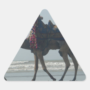 Tribal Camel Ride: Morning Tide Sands & Zee Driehoek Sticker
