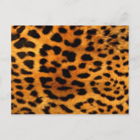 Tribal Fashionista Safari Dier Luipaard Print