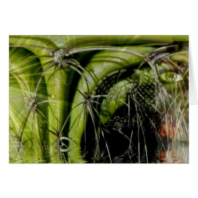 Tribal Medicine Kaart (Voorkant Horizontaal)