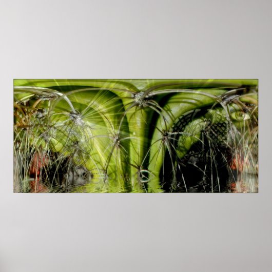 Tribal Medicine Poster (Voorkant)