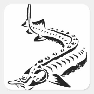 Tribale Sturgeon - Huso Beluga Vierkante Sticker