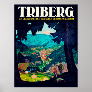 Triberg im Schwarzwald, uitzicht vanaf het Zwarte  Poster