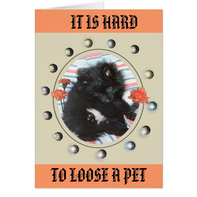 TRIBUTEN NAAR MIJN MINDY (Voorkant)