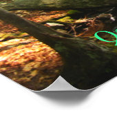 Tributional Quabbin Reservoir Poster (Hoek)