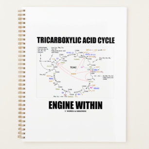 Tricarbonzuurcyclus motor binnen Krebs cyclus Planner
