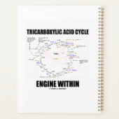 Tricarbonzuurcyclus motor binnen Krebs cyclus Planner (Achterkant)