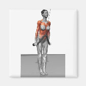 Triceps Push Downs Magneet (Voorkant)