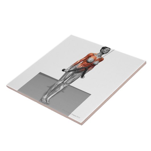 Triceps Push Downs Tegeltje (Zijkant)