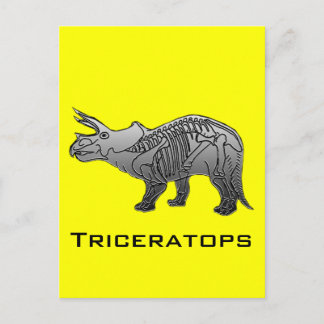 Triceratops Briefkaart