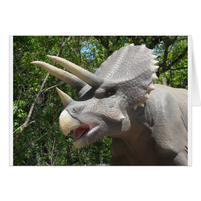 Triceratops dinosaur (Voorkant Horizontaal)