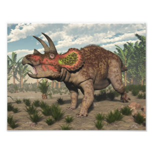 Triceratops dinosaur - 3D rendering Foto Afdruk