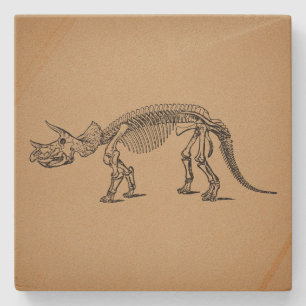 Triceratops Dinosaur Skeleton Prehistorische Art Stenen Onderzetter