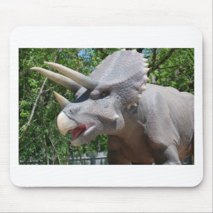 Triceratops/Dinosaurs Muismat