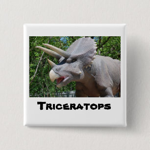 Triceratops Dinosaurs Vierkante Button 5,1 Cm