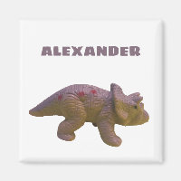 Triceratops en Jouw naam Speelgoed Dinosaur