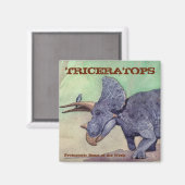 Triceratops magneet (Voorkant / Achterkant)