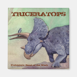 Tricératops Magnet