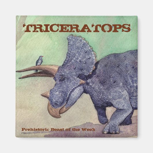Tricératops Magnet (Devant)