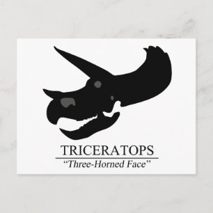 Triceratops Skull Briefkaart