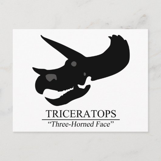 Triceratops Skull Briefkaart (Voorkant)