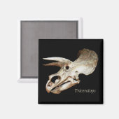 Triceratops Skull Magnet Magneet (Voorkant / Achterkant)