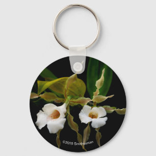 Trichopilia Tortilis Sleutelhanger