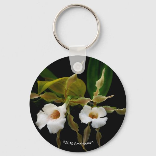 Trichopilia Tortilis Sleutelhanger (Voorkant)