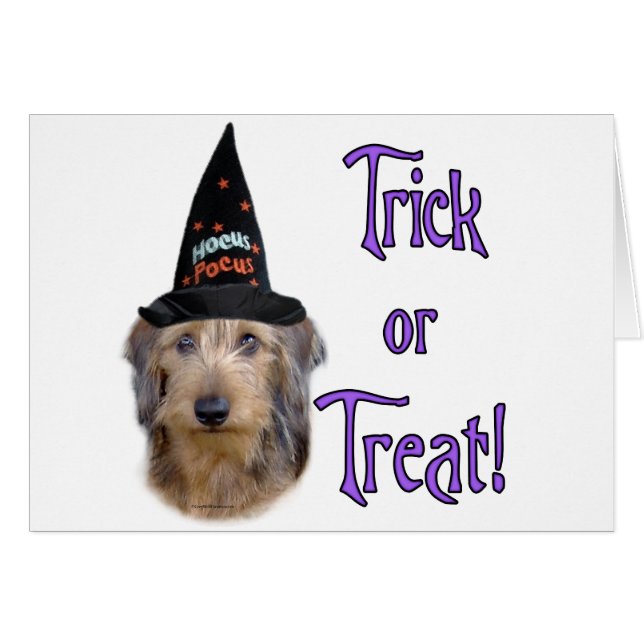 Trick Dachshund (fil) (Devant horizontal)