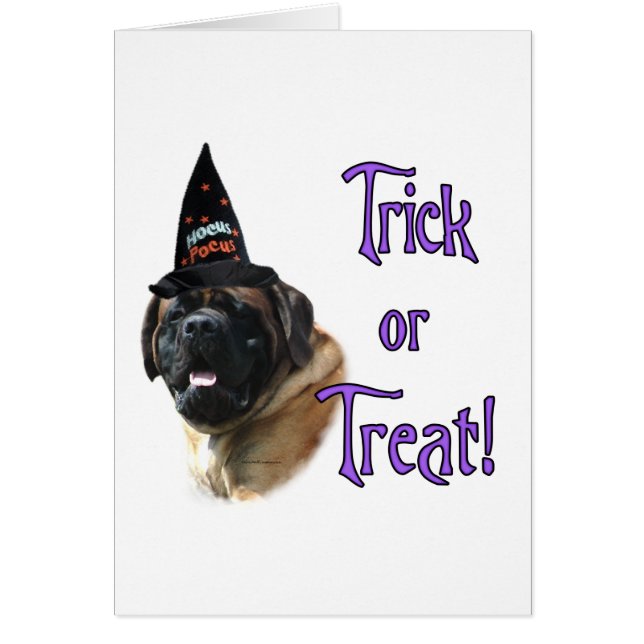 Trick Mastiff (abricot) (Devant)