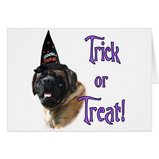 Trick Mastiff (abricot) (Devant horizontal)