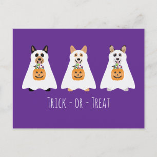 Trick or treat Corgi Ghost Dogs Halloween Briefkaart