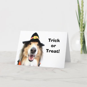 Trick or treat! De Kaarten van Halloween