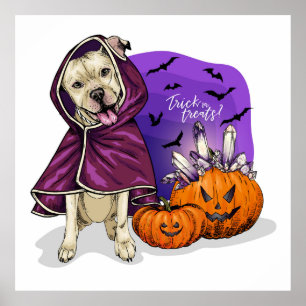 Trick or treat Dog Poster