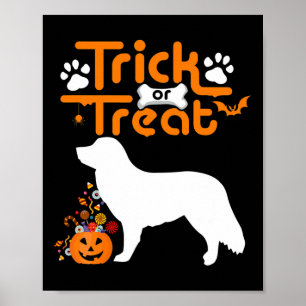 Trick or treat Duck Tolling Retriever Dog Hallowee Poster