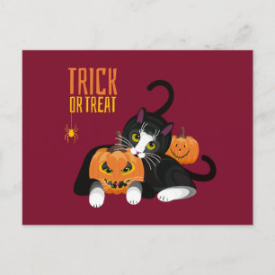 Trick or treat halloween Cat leuke Briefkaart